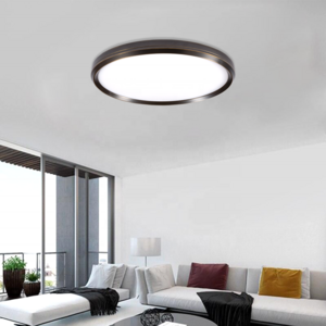 Modern zigbee tuya 2.4G smart wifi home light 30w 48w 72w luzes de teto flush mount light led ceiling fixture