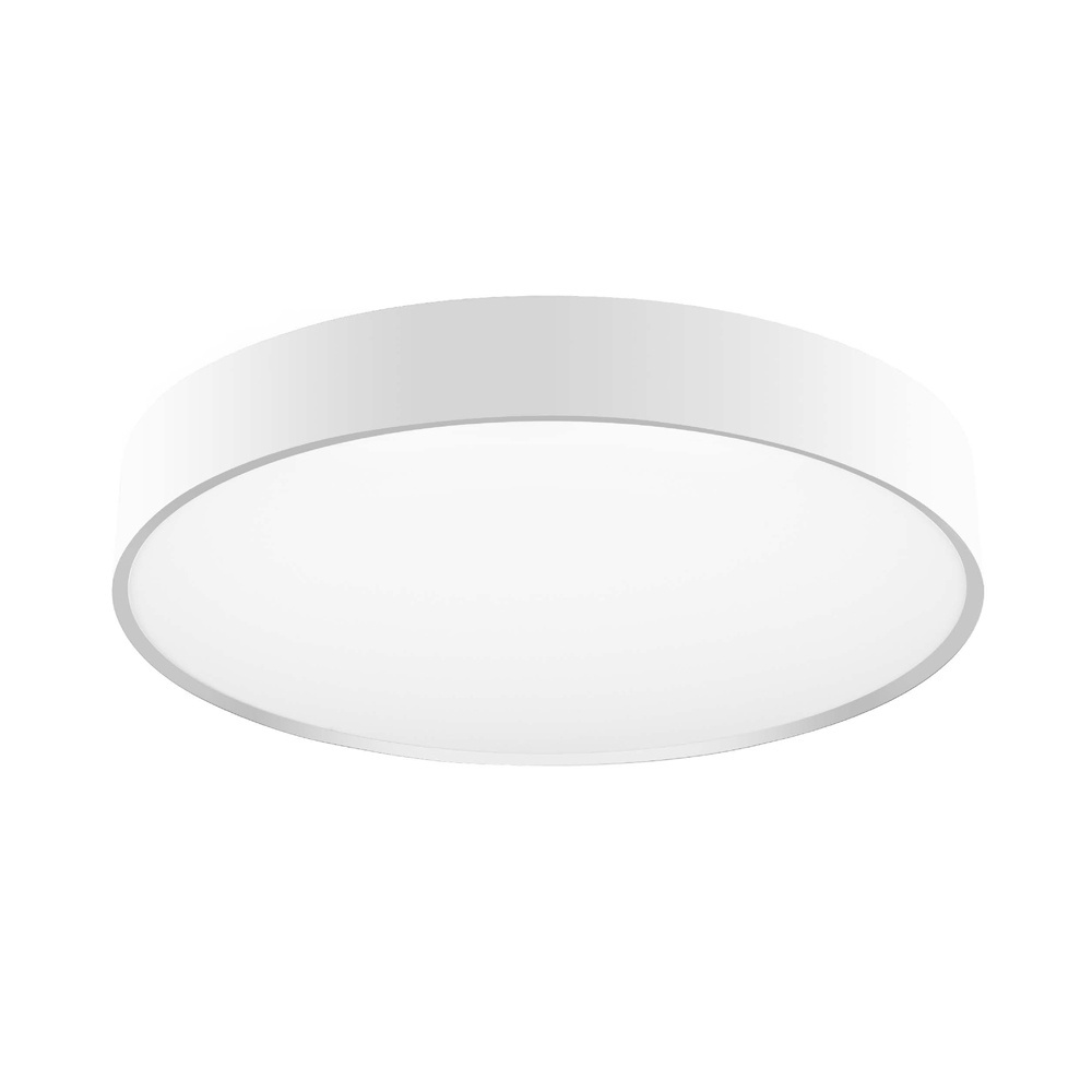 16/20/24/30/40 inch Flush Mount Ceiling Lighting Led Round Square Surface Mounted Ceiling Light Smart Home Lights