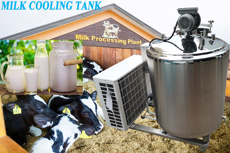 Mini Milk Can,Stainless Steel Milk Can Boiler,Milk Cooling Tank