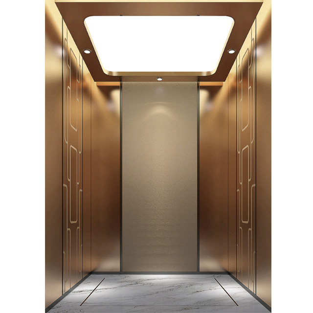 Customization 6 person passenger elevator 8 floor elevator elevator lift passenger