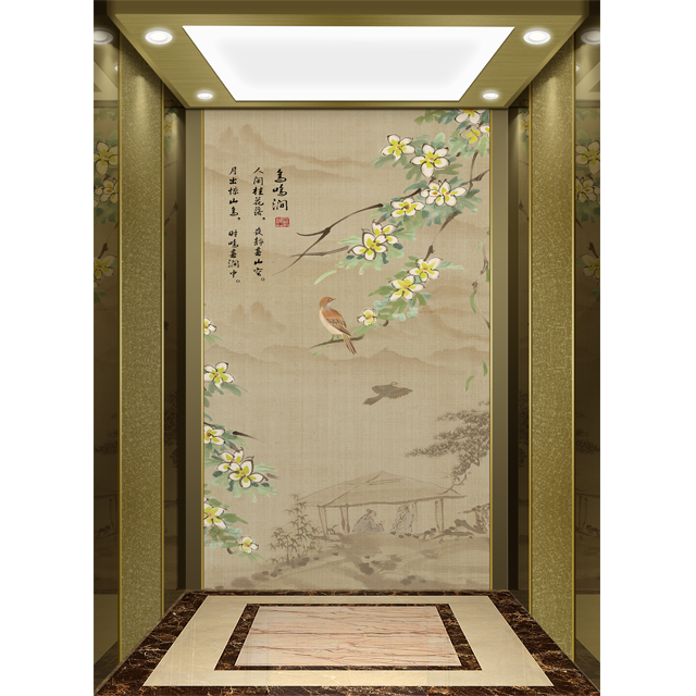 Best-selling foshan elevator ascensor residencial passenger lift used elevators for sale elevator home lift fuji