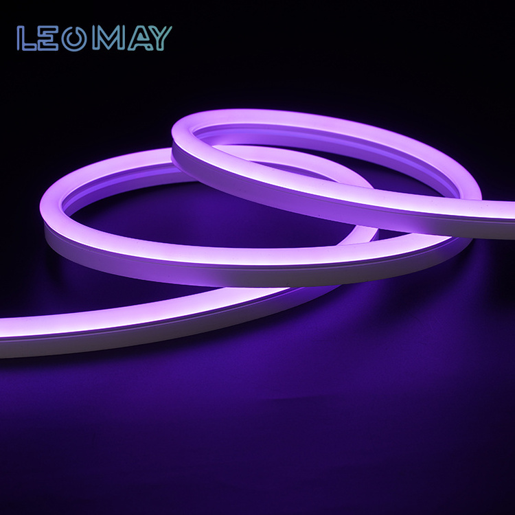 Supplier Wholesale Price 12V Led Neon Flex 24V Flexible Waterproof Strip Rope Light for Swimming Pool