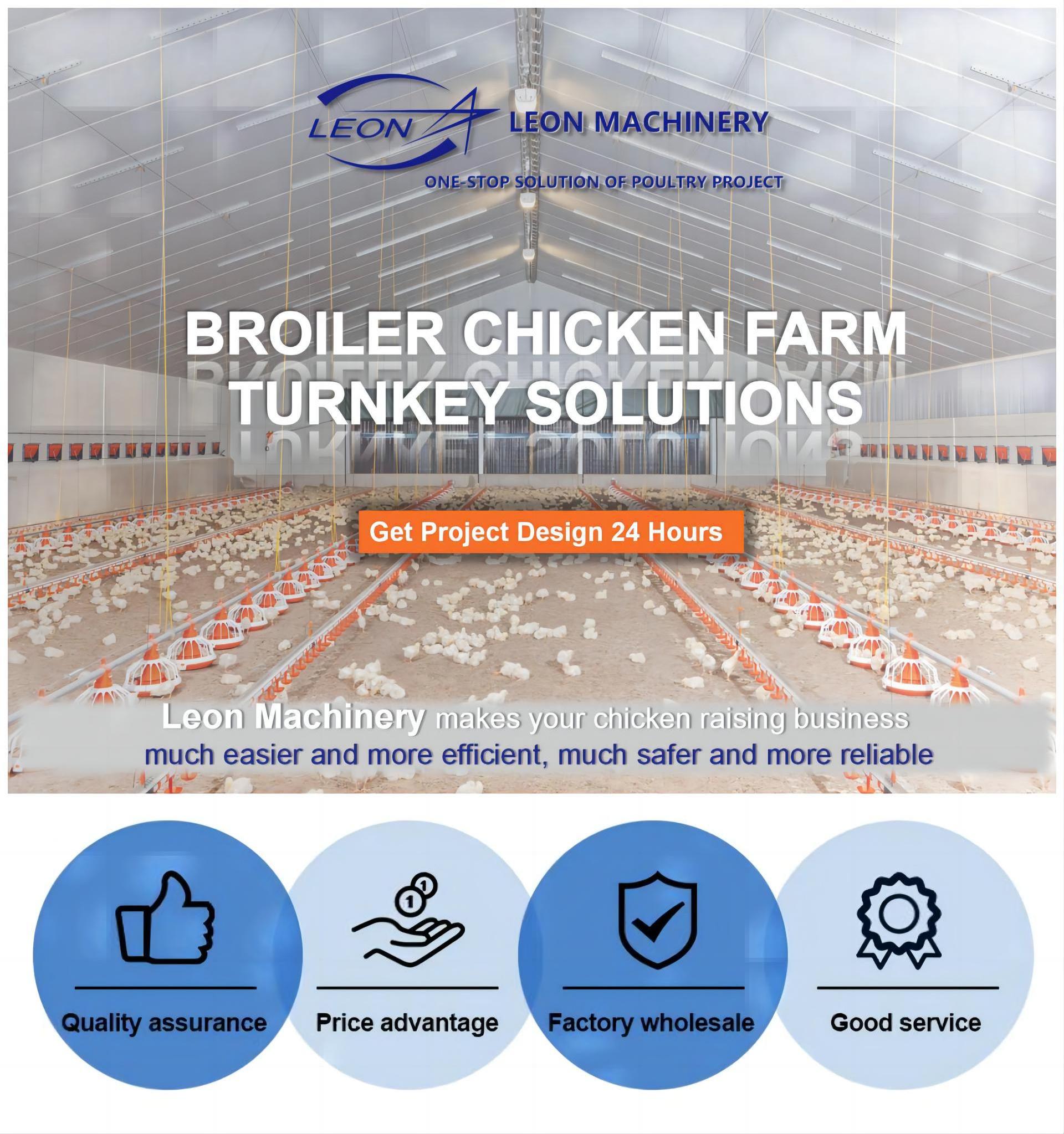 Hot Sale Cheap Feeding Line System Fully Automatic Raising Broiler Chicken House  Poultry Farming Equipment For Broiler Farm