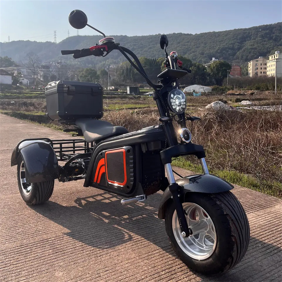 Wholesale Electric Tricycle for Two People Mini Tricycle Custom Lithium Battery LCD 60V 12 Inch Cargo 26 Inch Bicycle 3 Wheels