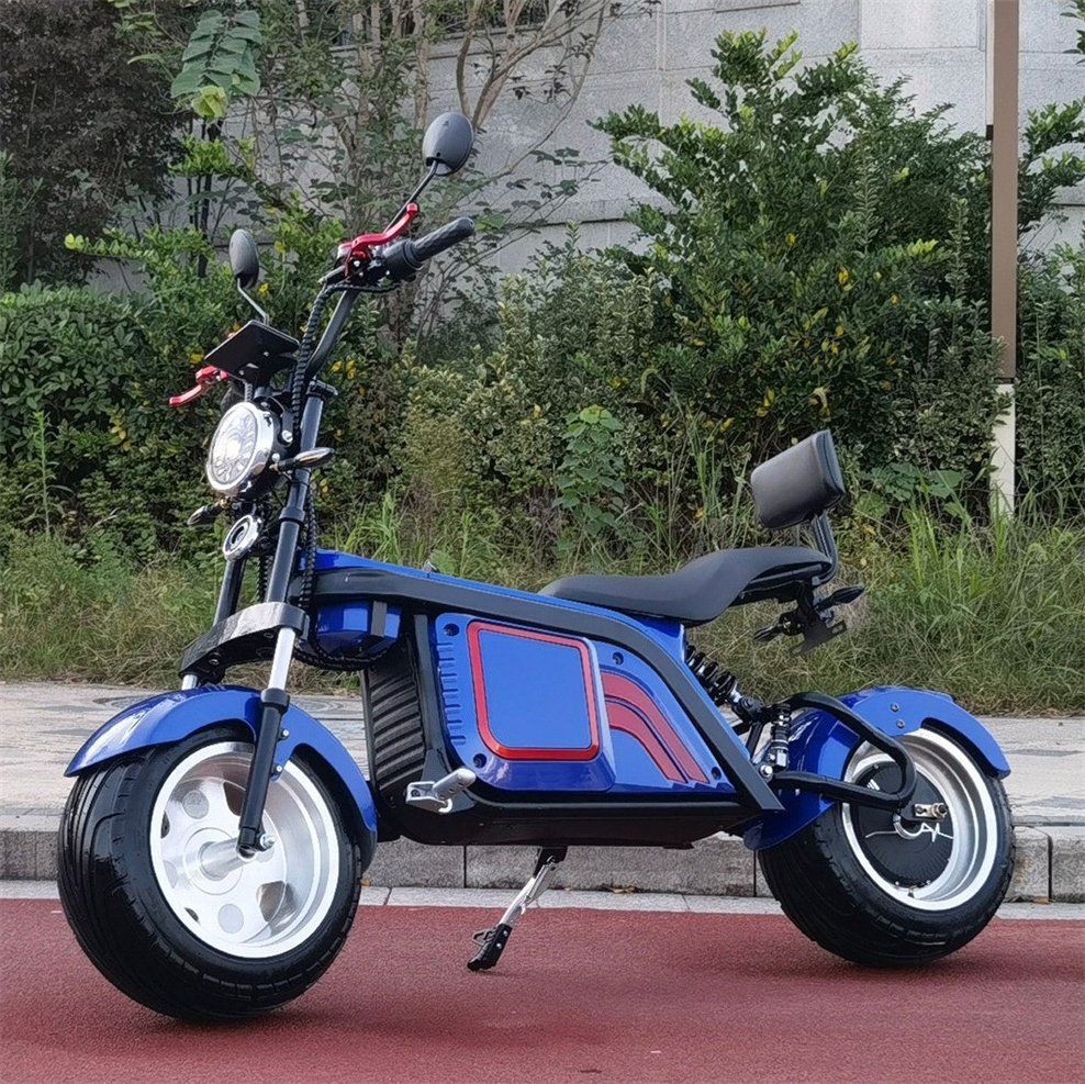 Newest Hot Selling 2 Wheels Electric Motorcycles Powerful Offroad Citycoco 3000W Lifan Electric Motors Scooter