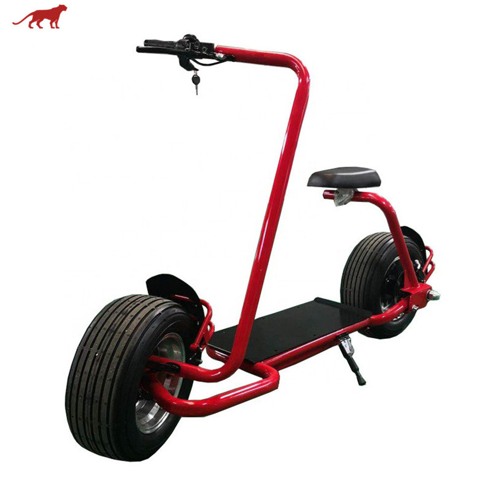 Powerful Fat Tire 2 Wheel Electric Fast Standing Citycoco Scooter For Adults