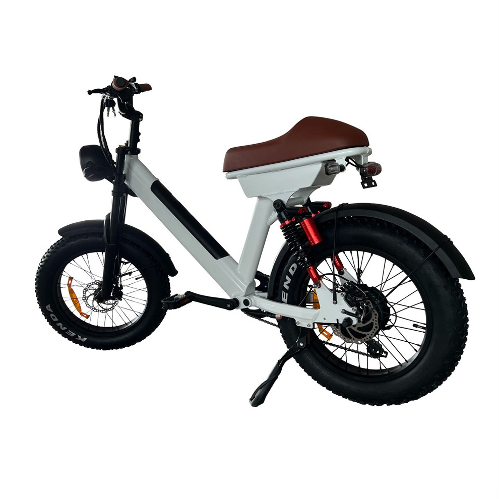 Free Shipping High Power 20'' E-Bike 750W 1000W  Fat Tire Snow Electric Mountain Bicycle Banana Seat Ebike