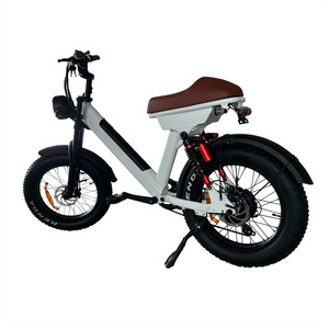 Free Shipping High Power 20'' E-Bike 750W 1000W  Fat Tire Snow Electric Mountain Bicycle Banana Seat Ebike