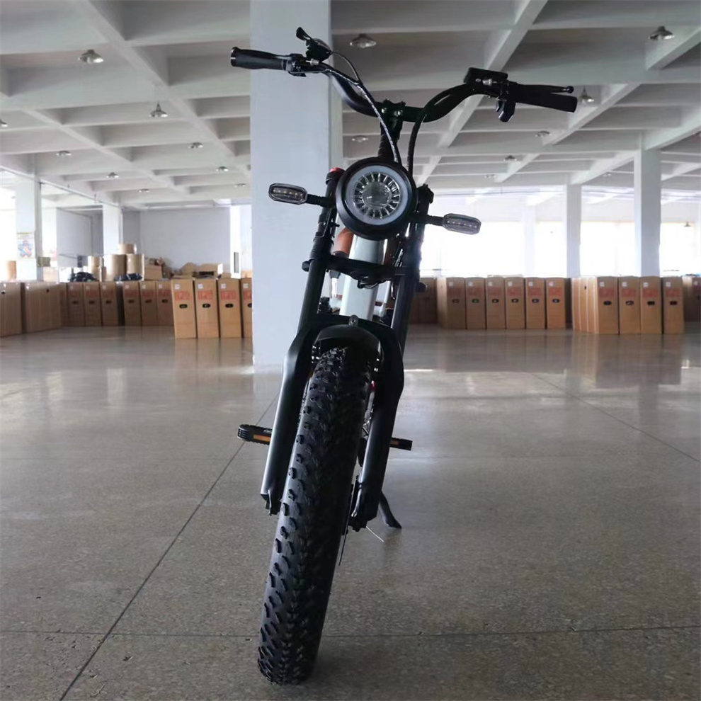 Free Shipping High Power 20'' E-Bike 750W 1000W  Fat Tire Snow Electric Mountain Bicycle Banana Seat Ebike