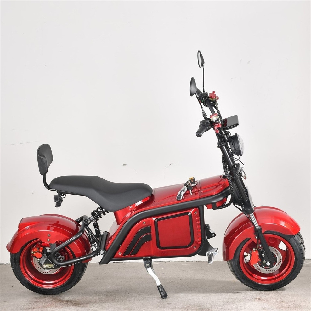 Newest Hot Selling 2 Wheels Electric Motorcycles Powerful Offroad Citycoco 3000W Lifan Electric Motors Scooter