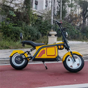 Three Wheel Moped Holland Warehouse Door To Door Electric Bicycle   With Sidecar