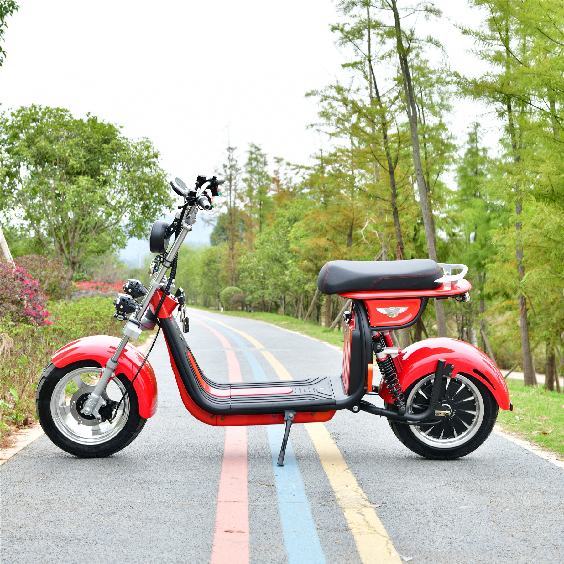 New Coming Motor Controller Dog Scooter Bike Electric With Rohs Certification