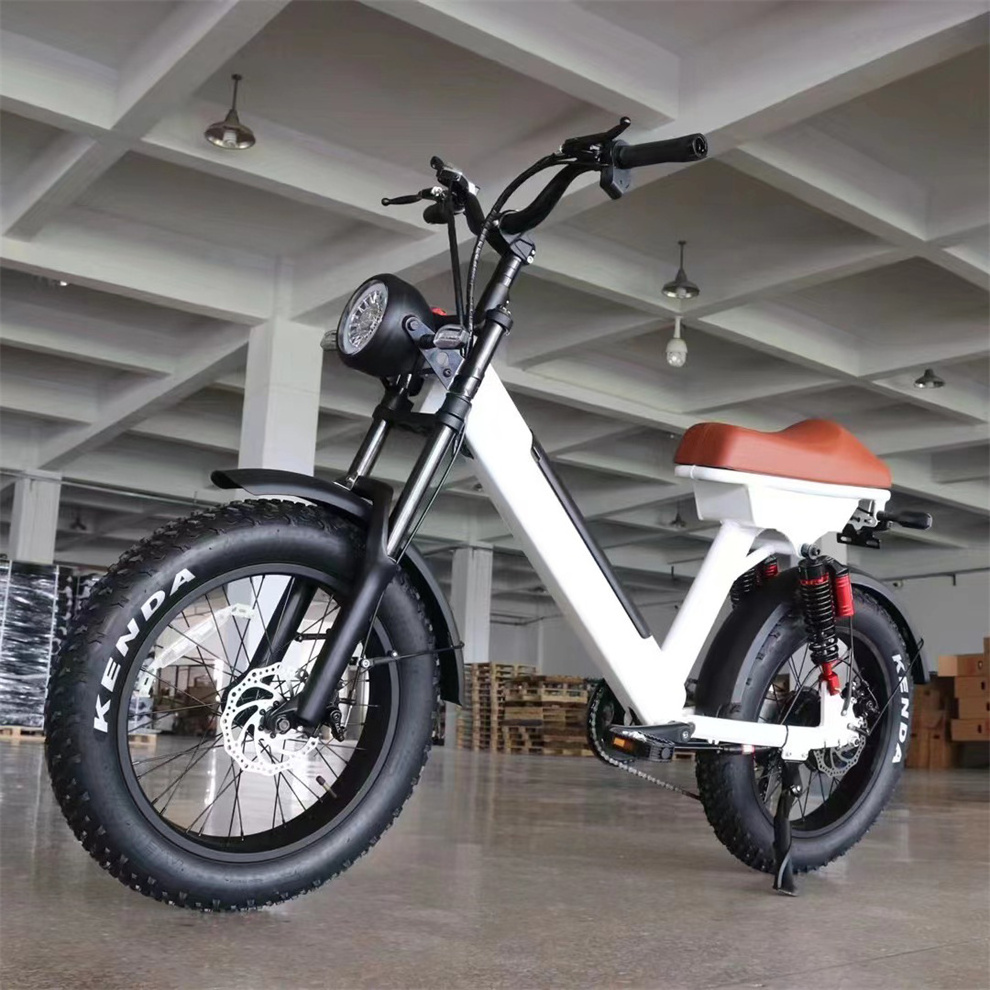 Free Shipping High Power 20'' E-Bike 750W 1000W  Fat Tire Snow Electric Mountain Bicycle Banana Seat Ebike