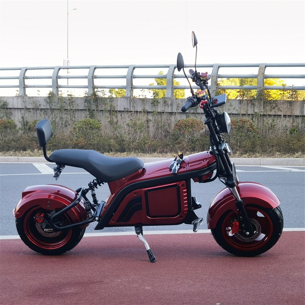 2000W 13 Inch Tilting Trike 2 Wheels Scooter Stand Up Electric Scooter