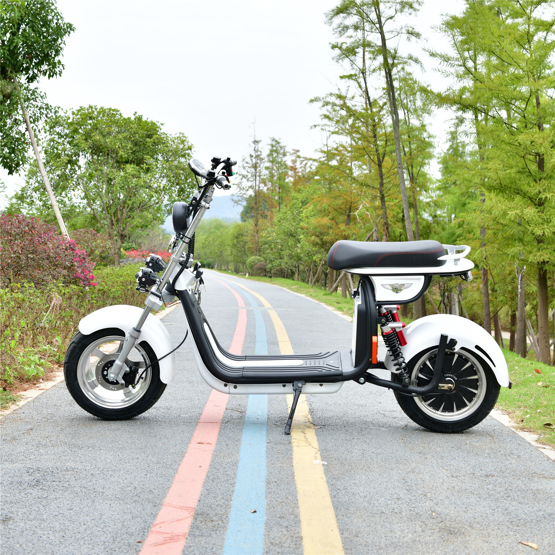 New Design 2 Seater Off-Road Electric Scooter 750W With Great Price