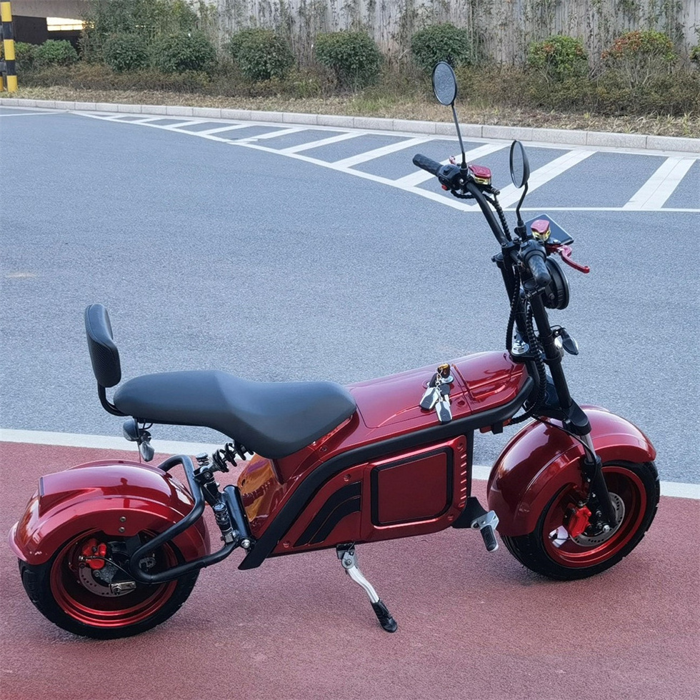 Leon Citycoco  Factory Supply The Most Fashionable Citycoco 2000W 2 Wheel Electric Scooter For Adult Electric Motorcycle