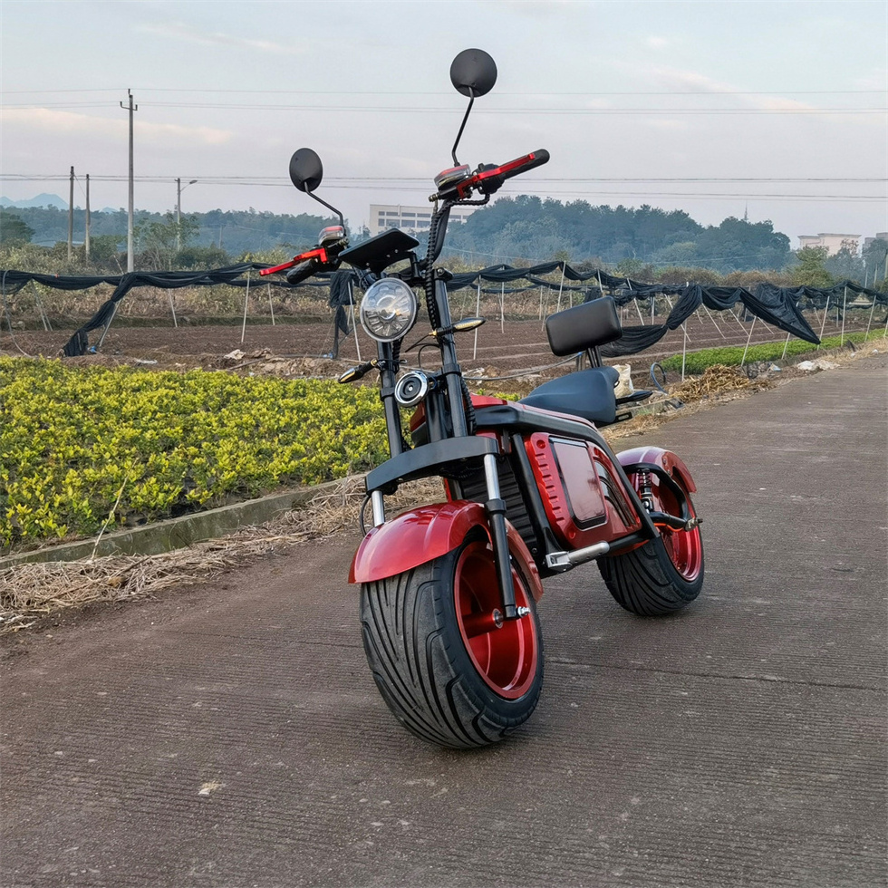 Hulk Unicycle Two Wheels Fast Fat Tire Electric Scooter Tricycle