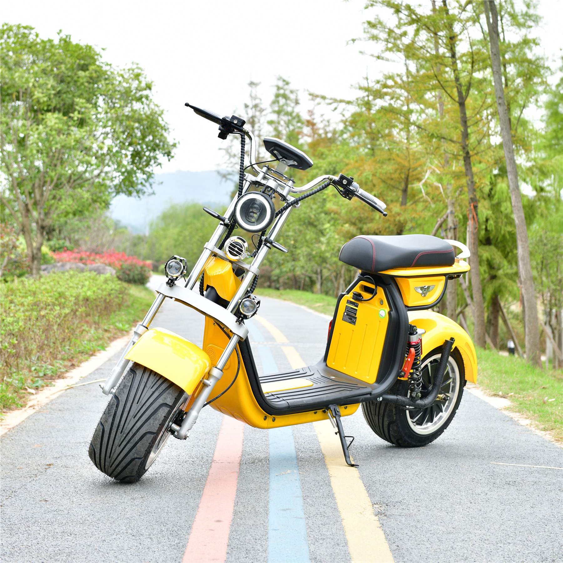 New Coming Motor Controller Dog Scooter Bike Electric With Rohs Certification