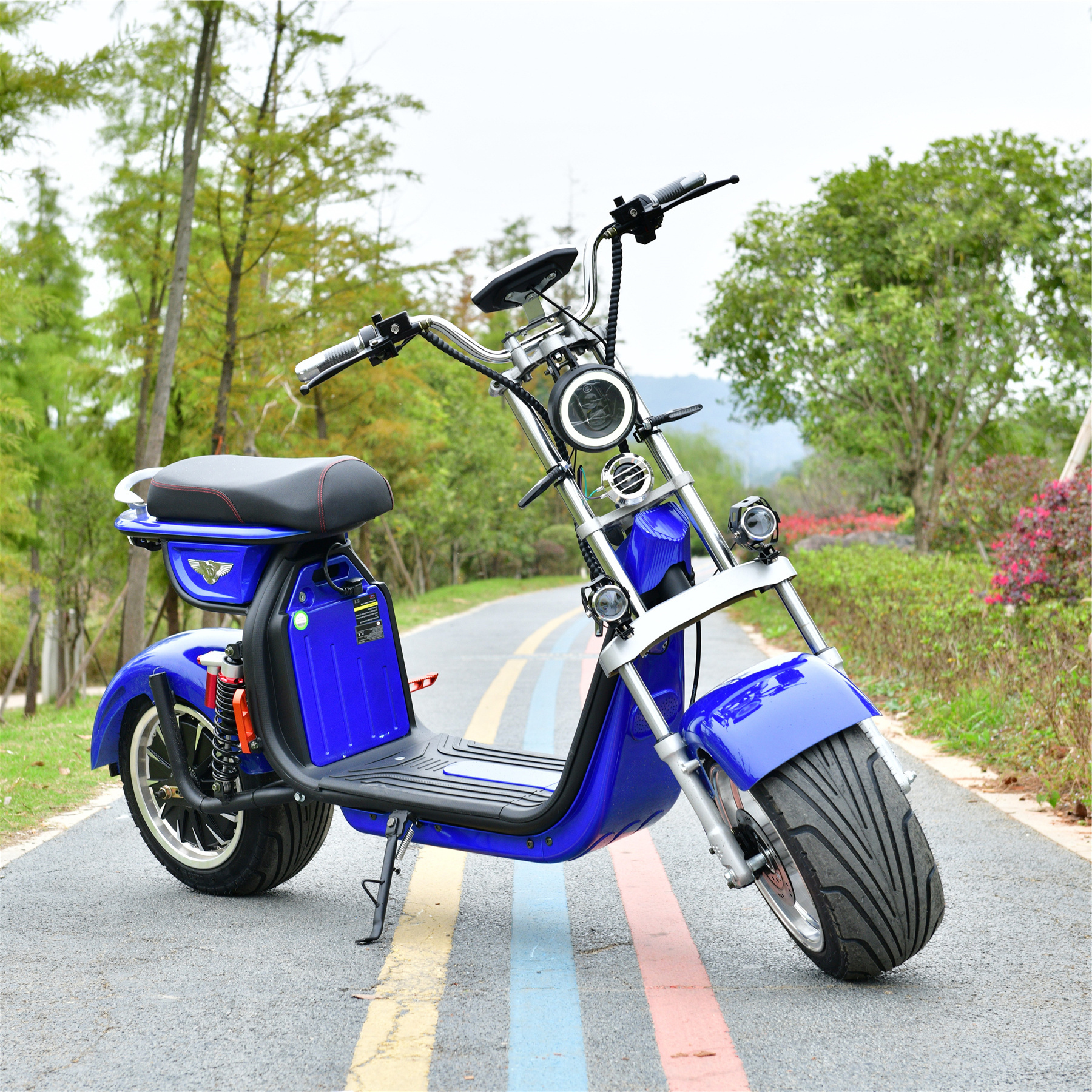 Classic Euro Prices Egypt Scooter Electric Price Made In China