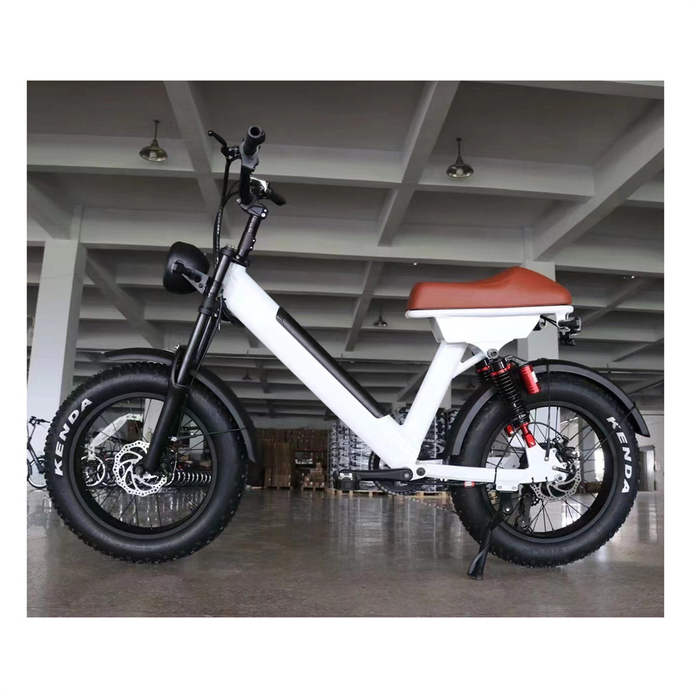 Free Shipping High Power 20'' E-Bike 750W 1000W  Fat Tire Snow Electric Mountain Bicycle Banana Seat Ebike