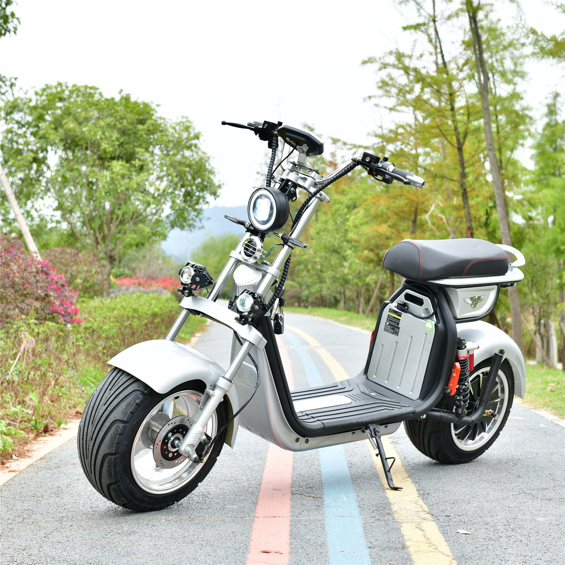 New Design 2 Seater Off-Road Electric Scooter 750W With Great Price