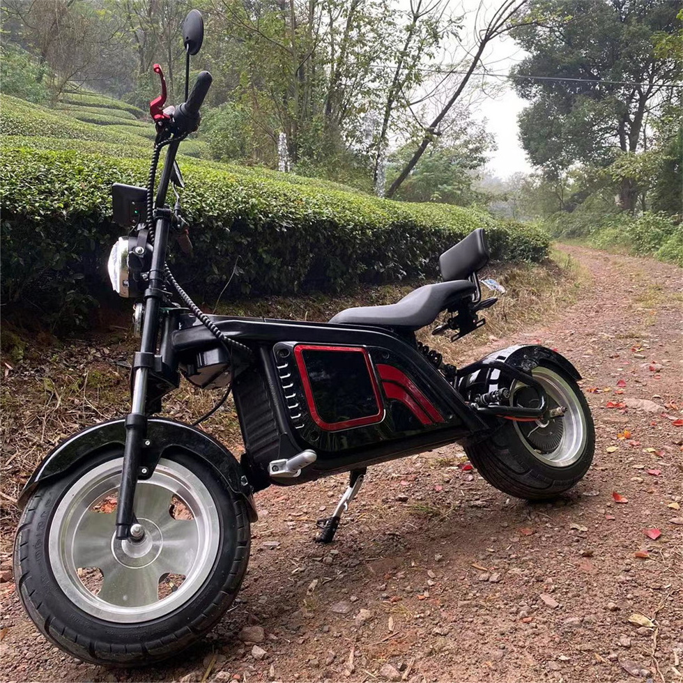 Leon Citycoco  Factory Supply The Most Fashionable Citycoco 2000W 2 Wheel Electric Scooter For Adult Electric Motorcycle