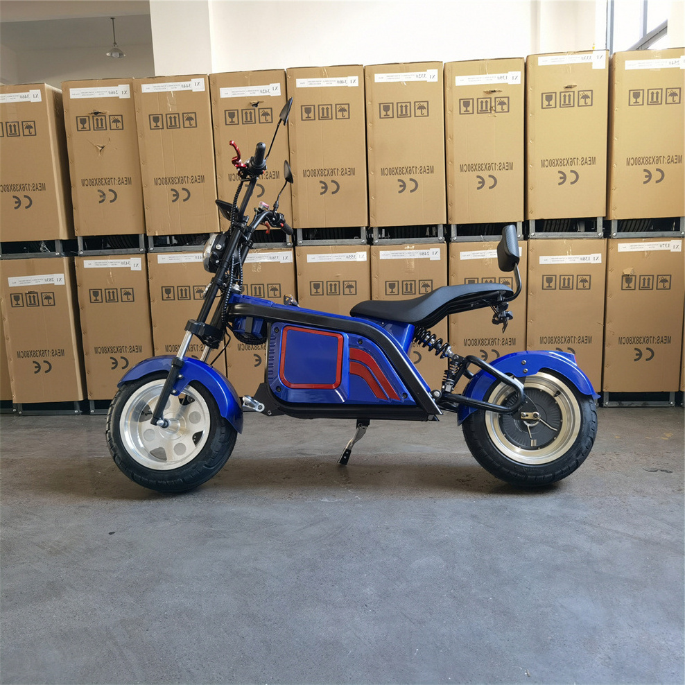 Newest Hot Selling 2 Wheels Electric Motorcycles Powerful Offroad Citycoco 3000W Lifan Electric Motors Scooter