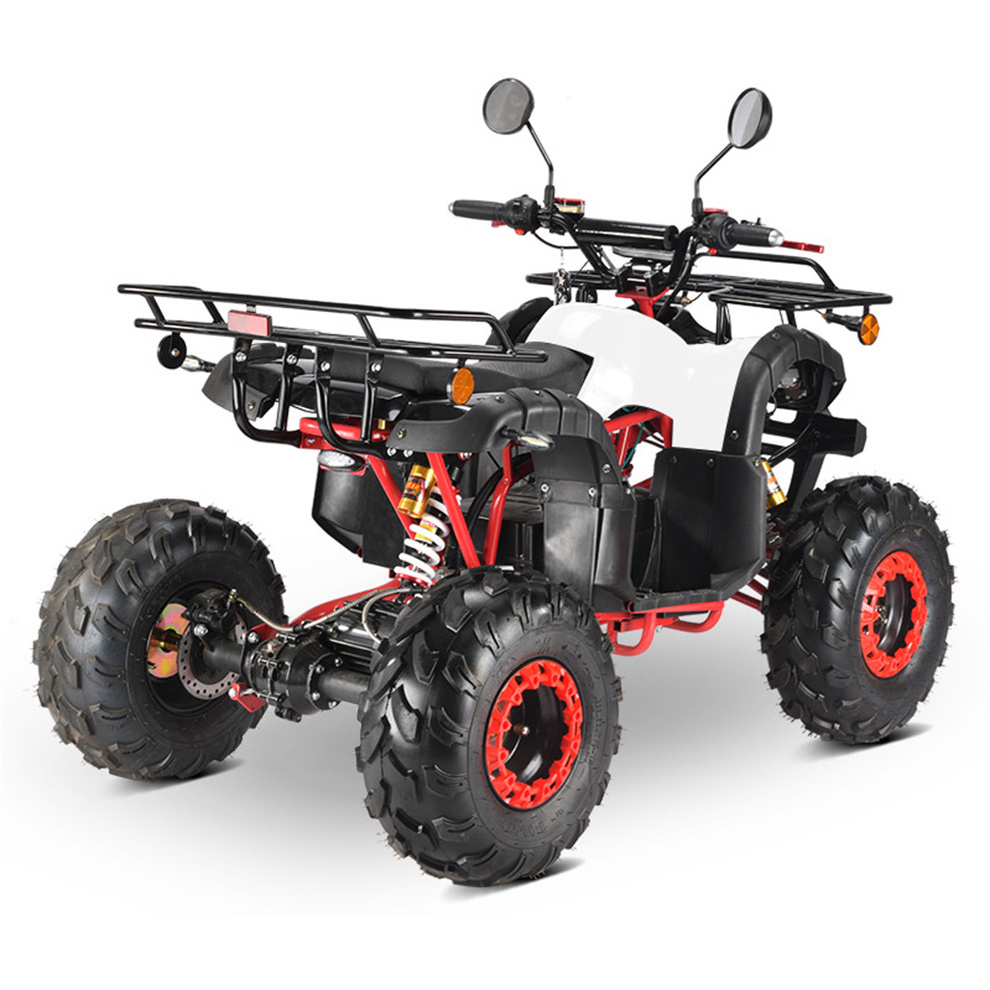 Road Legal Quad Bikes For Sale Electric 1000W Atv For Kids