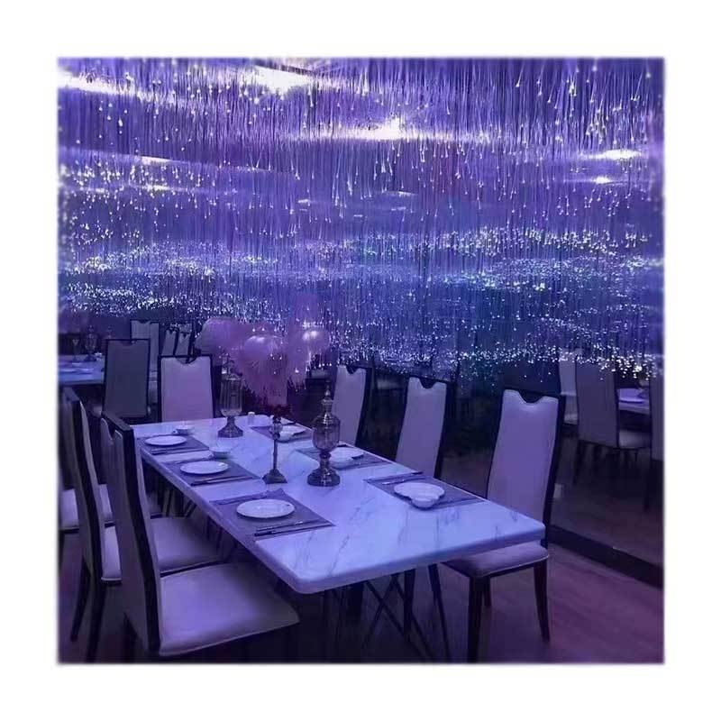 Professional Lighting LED Fiber Optic Light Lighting Decoration Start Ceiling for Bar Low Power 10-16W PMMA 80 Ip44 2.15 30000 H