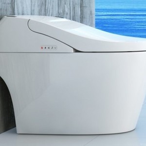 Elongated Automatic Bidet Toilet Flushing Heated Seat Smart toilet ECO Mode with Remote Control for North American market