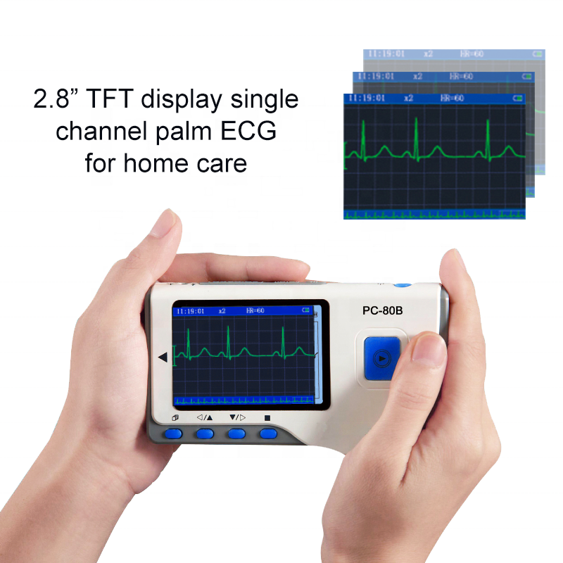 Medical Diagnostic Full Body Health Test Scanner Station 12 Leads Ecg Health Ecg Machine With Analyzer