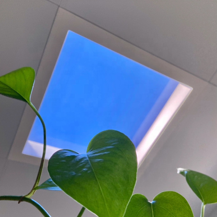 PeseTech 300x300 Skylight Smart Home Wifi Control Artificial Led Skylight Natural Daylight Panel Blue Artificial Skylight