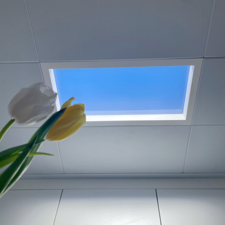 Artificial Sunlight Blue Sky Lamp led Skylight Window Ceiling Healthcare Panel Light