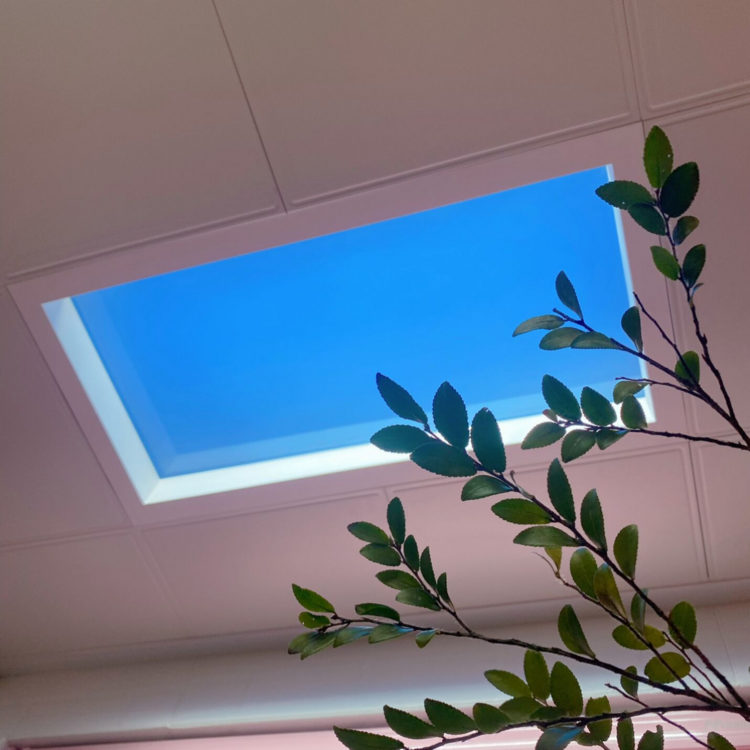 Artificial Sunlight Blue Sky Lamp led Skylight Window Ceiling Healthcare Panel Light