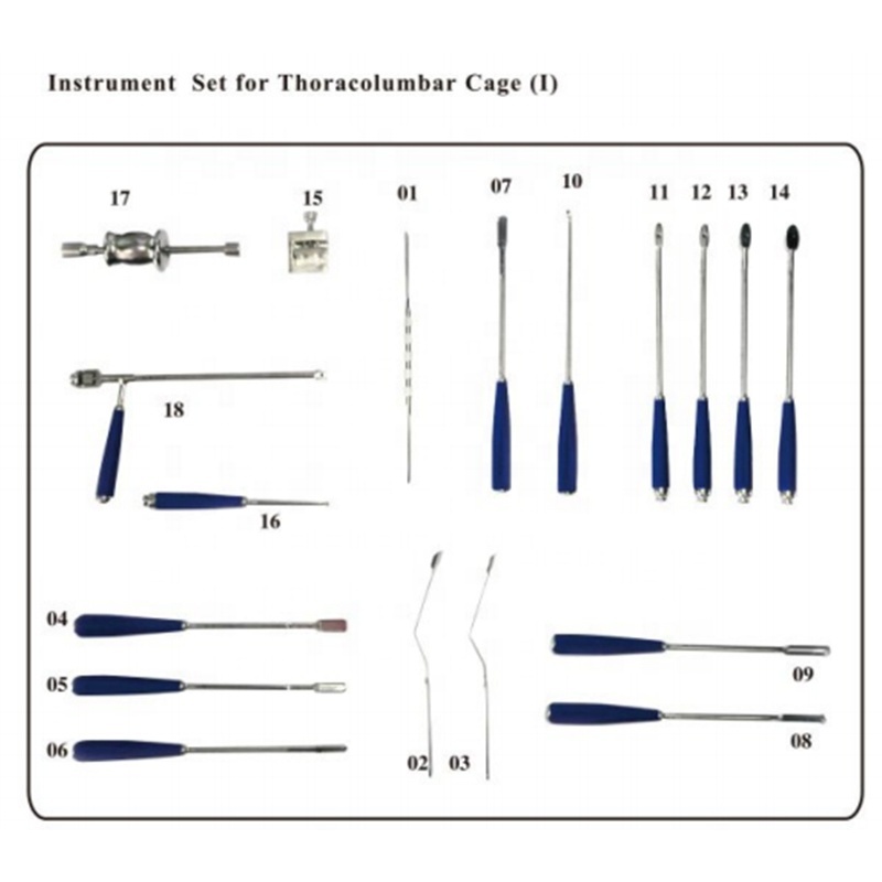 Instruments for Spinal Fixation, Anterior Cervical Locking Fixation, Cage, Mesh