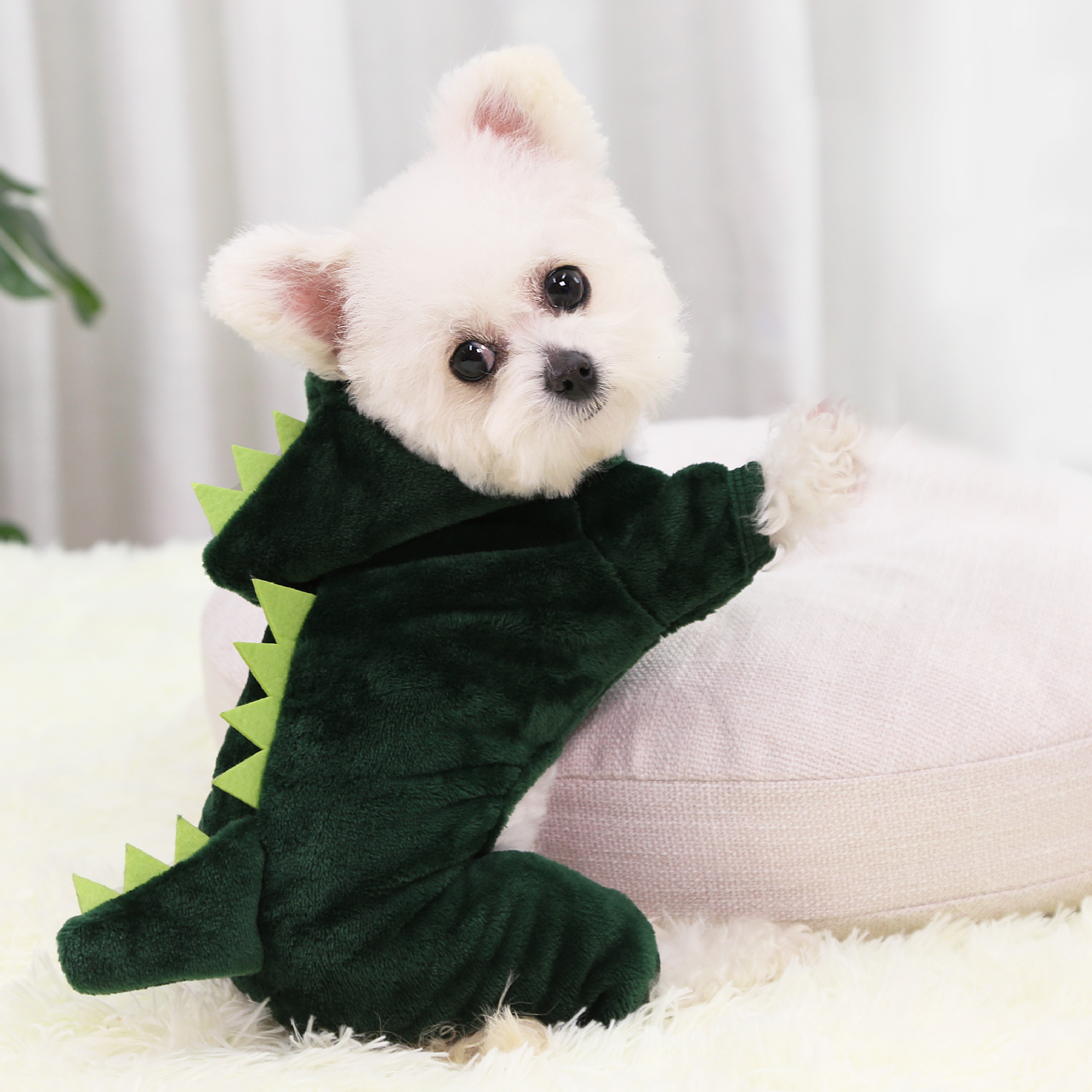 2021 Green Fashion Wholesale Transformed  Pet Apparel Dog Accessories Pet Clothes Winter Bulk