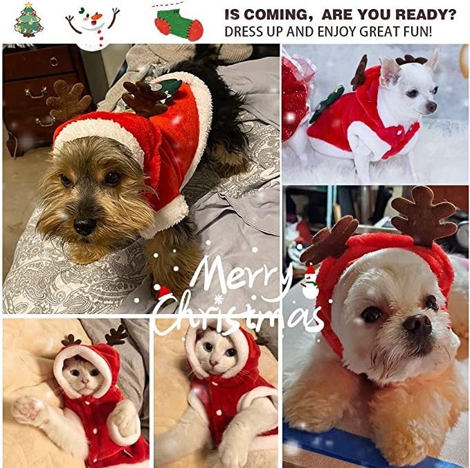 New Year Costume sweater Warm fashion Comfortable dog clothes christmas dog hoodie pet pouch hoodie