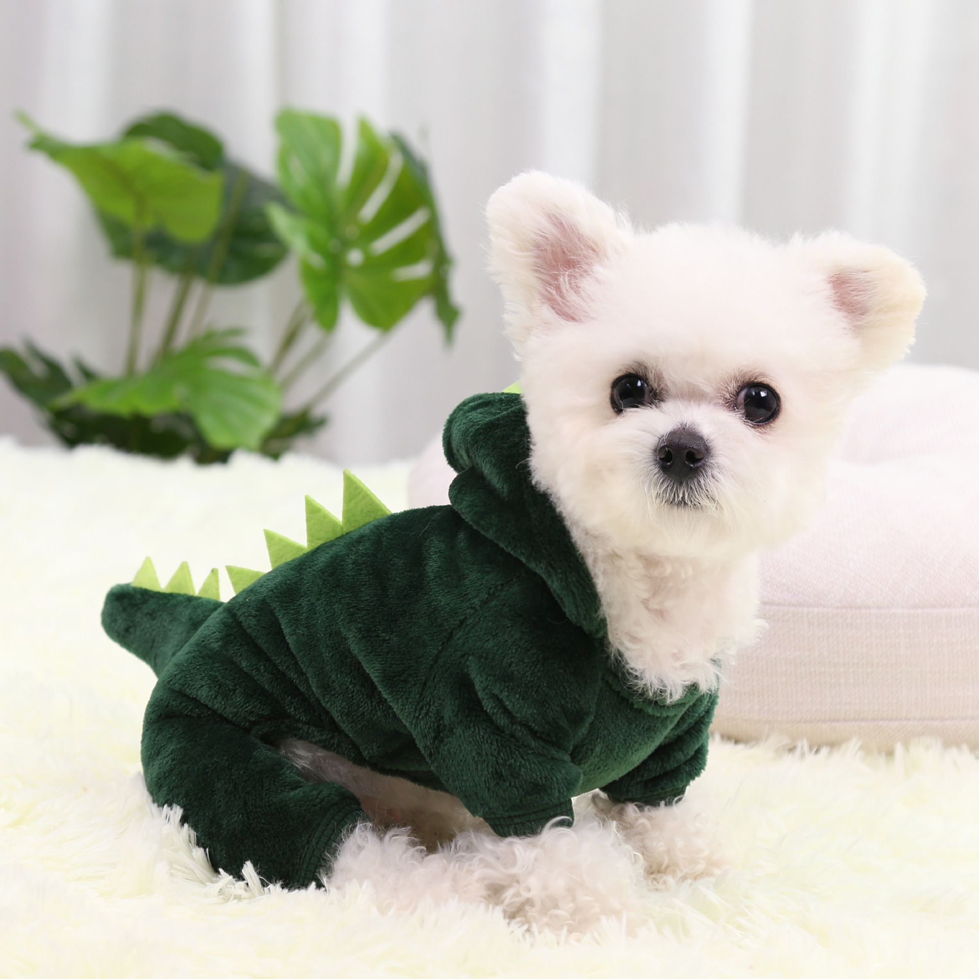 2021 Green Fashion Wholesale Transformed  Pet Apparel Dog Accessories Pet Clothes Winter Bulk