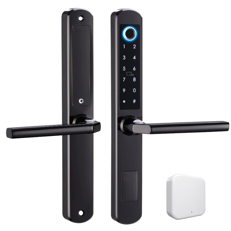 Tuya TTlock Key Card Keypad Digital Safe Lock Latch Biometric Fingerprint WiFi Smart Door Lock