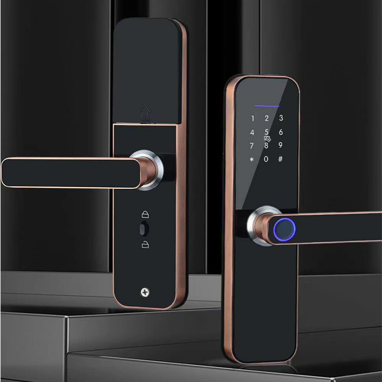 Electronic Fingerprint Intelligent Door Lock Keyless Entry APP Combination Lock with Keypad