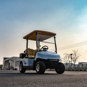 LEROAD 2 Seater Electric Golf Cart Golf Buggy