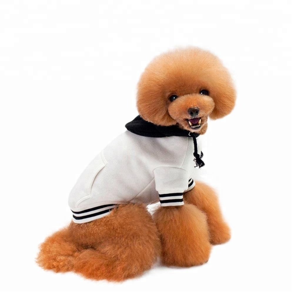 Warm Dog Hooded Sweatshirt-Warm Dog Sweater with Contrasting Color