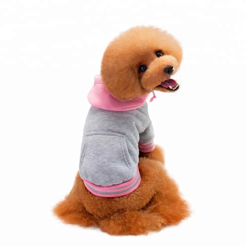 Warm Dog Hooded Sweatshirt-Warm Dog Sweater with Contrasting Color