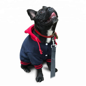 Warm Dog Hooded Sweatshirt-Warm Dog Sweater with Contrasting Color