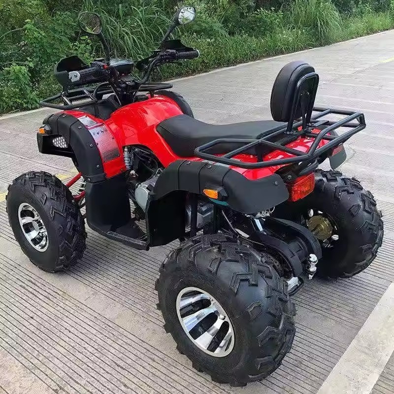 New 200cc 4 Stroke 4x2 2wd 10l Fuel Tank Capacity 2 Seater Quad Bike Canam Atv