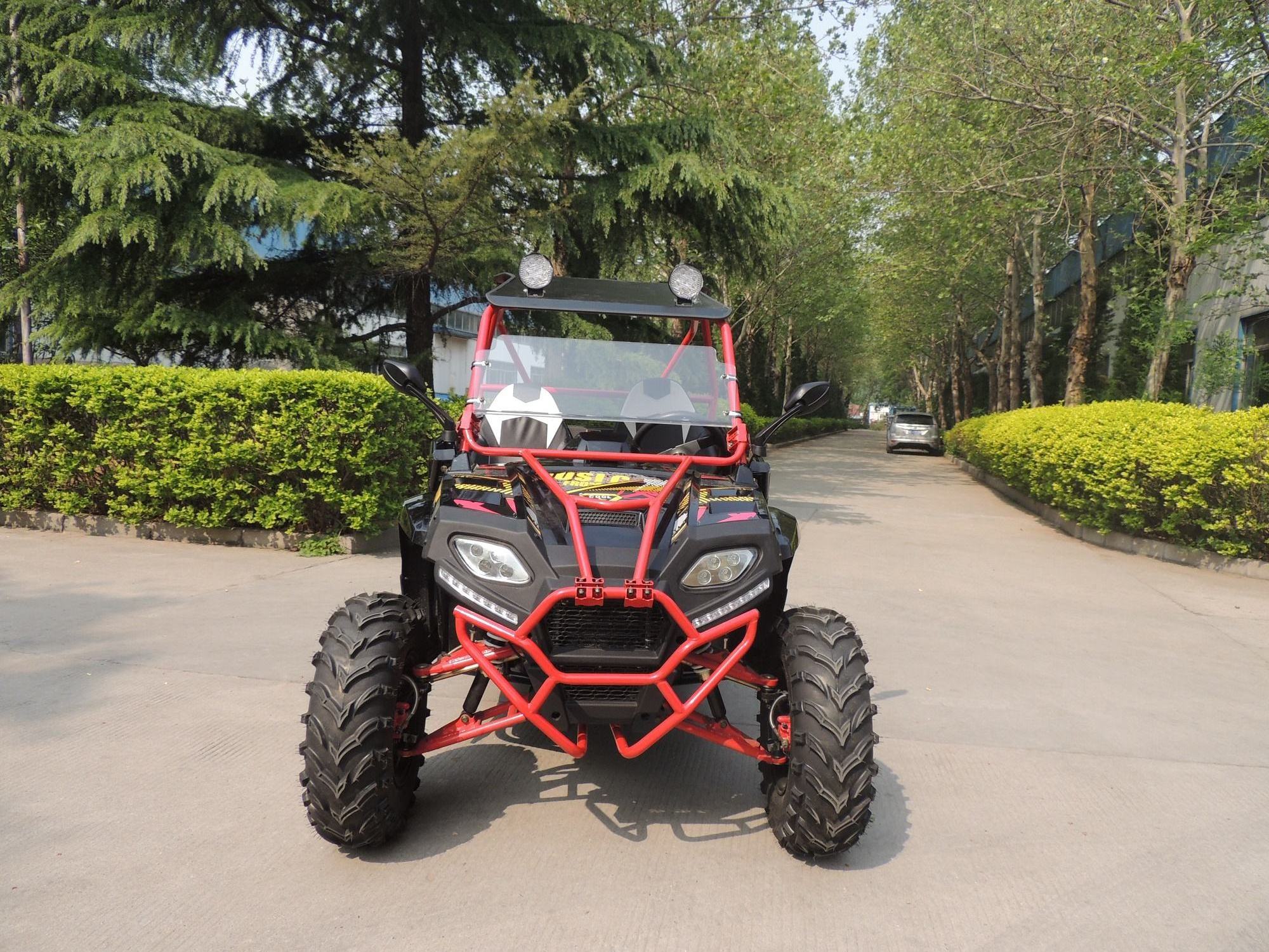 Hot Sale 250cc Utility Vehicle Side By Side off road 2 Seater Utv 4x2