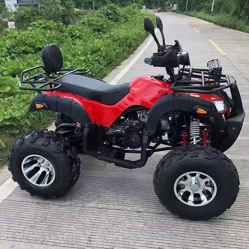 New 200cc 4 Stroke 4x2 2wd 10l Fuel Tank Capacity 2 Seater Quad Bike Canam Atv