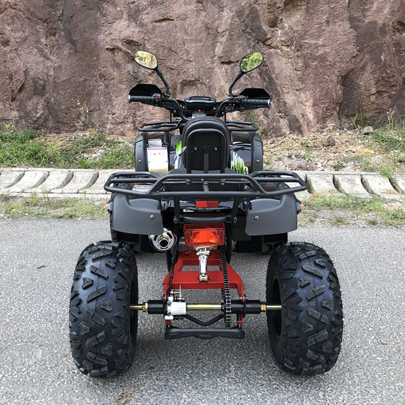 New Arrival street legal quad bike 200cc 4x2 2wd All Terrain Vehicle Can-Am Sports Atv For Adults