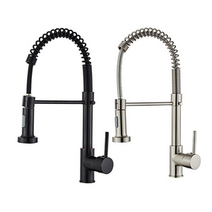 Single-lever Pull Out Kitchen Water Tap Stainless Steel Sink Black Sprayer Stainless Steel Spring Pull Faucet