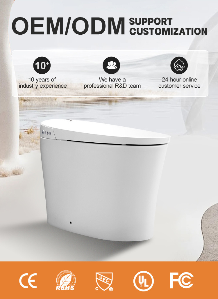 Bathroom smart intelligent toilet bidet seat wc Nozzle Self-Cleaning instant heating electric toilet cover seat with bidet